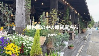 【植物園の中の雑貨屋さんpart２】久しぶりに行って来ました