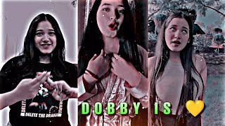 Dobby new hdr cc trending video status 🥵💞|| @DobbyIsLive_ || #shorts #status