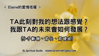 【Elaine的愛情塔羅】TA對我有什麼想法感受？我們的未來會如何發展？(有特定情感對象、但關係不定)