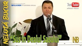 NELUTA BUCUR . Sus in Dealul Sasului (live video)