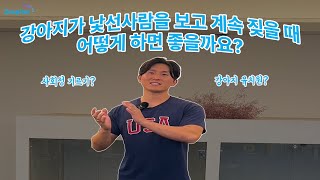 [주피터/반려동물 훈련사] 강아지가 낯선사람을 보고 계속 짖을 때 어떻게 하면 좋을까요?