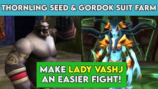 Make Lady Vashj Easy - Thornling Seed \u0026 Gordok Suit Farm! - WoW TBC