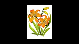 How to Paint a STUNNING Tiger Lily! Watercolor flowers! Tiger Lily! #shorts