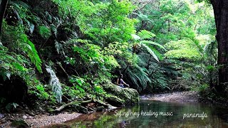 【瞑想・安眠】シンギング•リンと自然音(オオシマゼミの鳴き声)Deep Healing Music,Japanese instrument