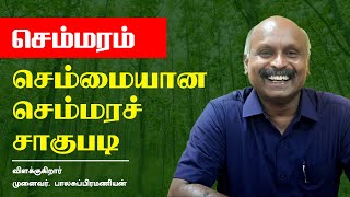 செம்மரச் சாகுபடி பயிற்சி | முனைவர். பாலசுப்பிரமணியன் | வனத்துக்குள் திருப்பூர் | வெற்றி