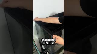 这样的防跳网，真不错！ 防跳网 养鱼日记 鱼缸 养鱼人 好物推荐🔥