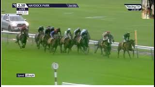 Race (5) 14:30 Haydock 23 Nov 2024 Betfair Stayers' Handicap Hurdle Winner £56,950 - 15 run