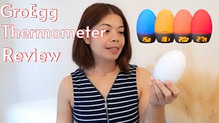 GroEgg 2 Room Thermometer Review And Demo | What's The Good Things About Gro Egg 2 Thermometer?