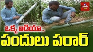 Monkey Gun | Nizamabad Farmer Designed Monkey Gun to Protect Crops | hmtv Agri