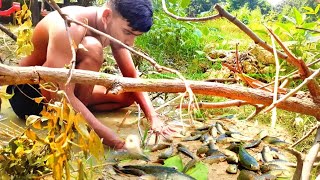 Primitive Fishing Method | Primitive Technology | Primitive Survival #fishing #shorts #primitive