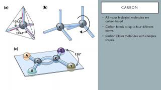 OSSM Biochem Chapter 1 - Carbon and Molecular Structure