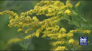 What type of pollen is high now, what is yet to come?