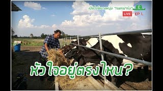 LIVE เปิดใจโคบาลหนุ่ม “ณครฟาร์ม” เลี้ยงโคนมให้สำเร็จ...หัวใจอยู่ตรงไหน?