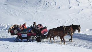 Arosa - Rot Tritt - Bärenland - Innerarosa (GR) / 26.12.24