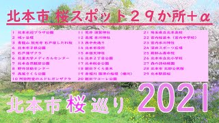 埼玉県北本市 桜巡り 2021～ 桜名所スポット 名所29ヵ所+α ～石戸蒲ざくら 桜土手 高尾さくら公園 北本総合公園 野外活動センター 北本自然観察公園   朝日さくら並木 篠津の桜堤 桜名所