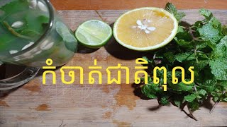 វិធីធ្វើទឹករុក្ខជាត់កំចាត់ជាតិពុល_Kh Healthy