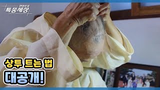 상투 트는 법대공개! MBN 210819 방송