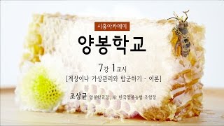 [시흥아카데미] 양봉학교 7강1교시 「계상이나 가상관리와 합군하기(이론)」 - 조상균(학교장, 前 한국양봉농협 조합장)