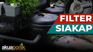 AKUAPONIK SIAKAP | DAY : 14 | Solid & Bio Filter Guna Tong Sampah | Siakap MAKAN Kawan!??