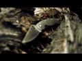 spyderco military fluted titanium closer look