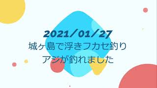 2021.1.27城ヶ島で浮きフカセ釣り（アジ）