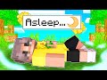 I Fell Asleep FOREVER In Minecraft!