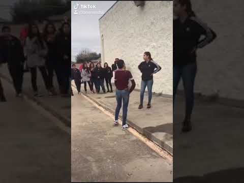 School Fights Youtube