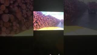 Jay Maine mill explosion