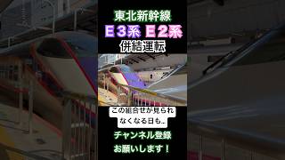 【いつか来るその日まで】E3系+E2系東北新幹線 併結運転_東京駅Shinkansen【つばさ・やまびこ】