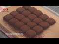 How To Make Cocoa Powder ?|Cocoa Powder Making Machine Line