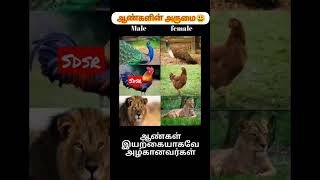 ஆண்களின் அழகு #viral #boys #single #2023