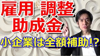 雇用調整助成金・中小規模企業は全額補助に！？手続き大変・入金遅い！それでも検討する価値はあるのか？