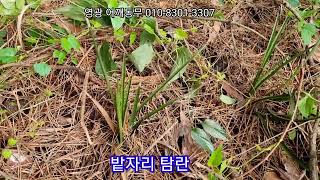 249 *밭자리 탐란 산행*