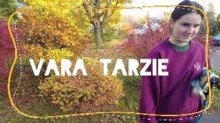 Vara tarzie 2022