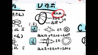 [DSE BIO 生物科]一圖溫一課系列－15 探測