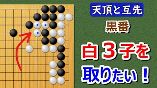 【囲碁】実戦譜互先（対天頂の囲碁9段）もしも白がツケバネを打ってきたら⁈【ノゾキが面白い】