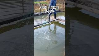 물고기 많은디 안살거면 나가셔요 #낚시 #fishing