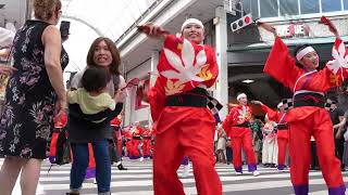 2023 高知よさこい祭り 本祭2 帯屋町筋 帯屋町演舞場