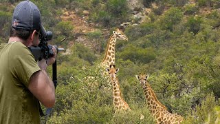 The most beautiful animal hunting clips in Africa with guns 😱👌👍 Part 5