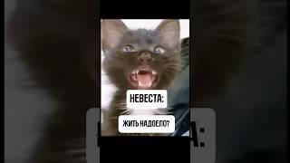 Он пытался ..😹 #мем #ведущийказань #юмор #wedding