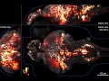 Whole-brain Imaging of Neuronal Activity with Cellular Resolution