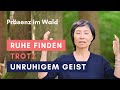 Präsenz im Wald: Ruhe finden trotz Gedankenlärm // Hiekyoung Blanz