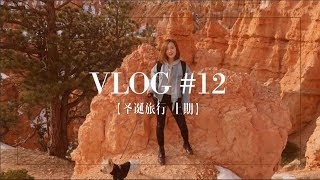 【西部自驾游 上期】Vlog #12 | Bryce Canyon布莱斯峡谷，Horseshoe Bend马蹄湾，Antelope Canyon羚羊谷，Grand Canyon大峡谷