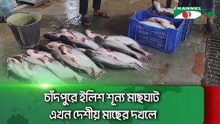 চাঁদপুরে ইলিশ শূন্য মাছঘাট এখন দেশীয় মাছের দখলে