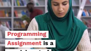 urgent programming assignment help