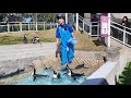 【マリンワールド】 ペンギンタイム