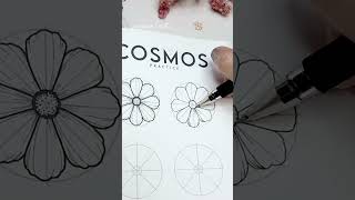 How 2 draw a COSMOS flower