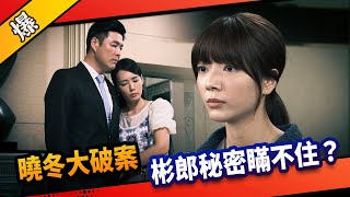 《八點檔搶先爆》市井豪門 EP214 曉冬大破案  彬郎秘密瞞不住？