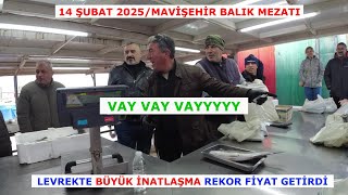 LEVREKTE ÇILGIN KAPIŞMA. MAVİŞEHİR BALIK MEZATI 14 ŞUBAT CUMA.