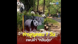 ทำบุญครบ 7 วัน แพนด้า \